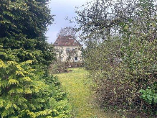 Blick in den Garten.jpeg