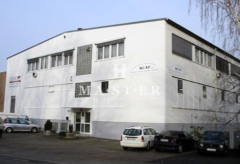 Kelsterbach Halle, Kelsterbach Hallenfläche