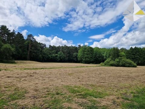 Biesenthal Grundstücke, Biesenthal Grundstück kaufen