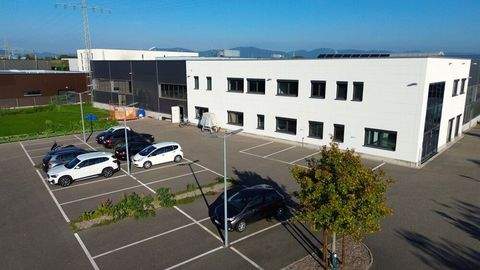 Landau in der Pfalz Halle, Landau in der Pfalz Hallenfläche