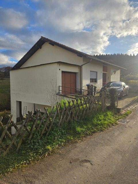 Trier Häuser, Trier Haus kaufen