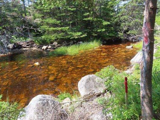 Nova Scotia - English Harbour/Grovers Point - Wund