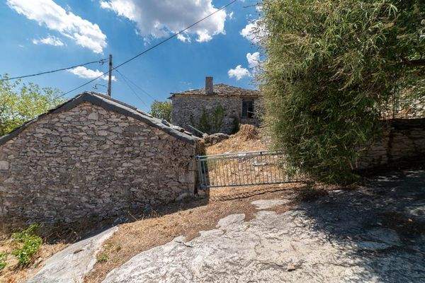 Papatsiaras-Theologos-Kekes 24-07-2024-8.jpg