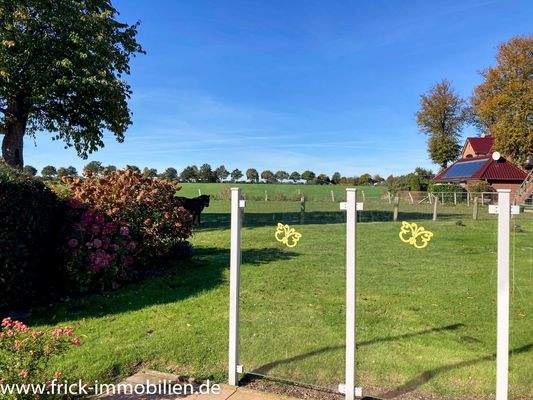 33-Ausblick Südwestterrasse.JPG