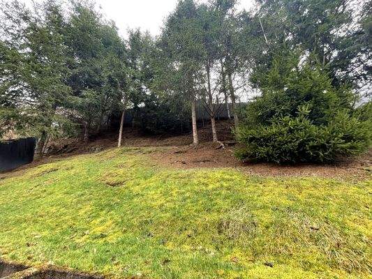 Grundstück hinter dem Haus