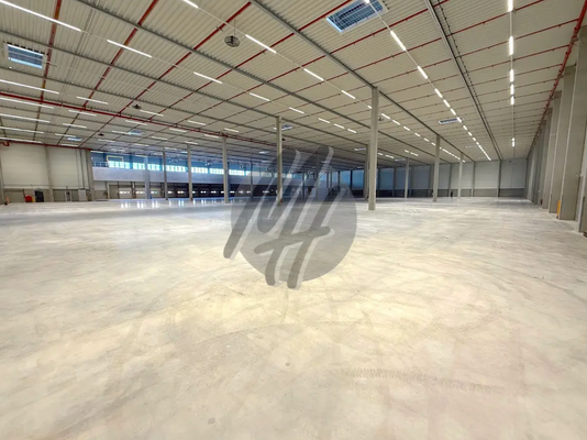 INFOS UNTER: 06171-586000