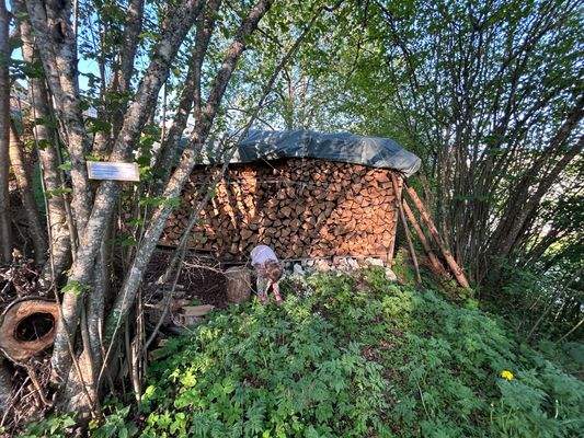 Blick Richtung Kindergarten