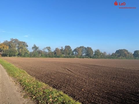 Löningen Bauernhöfe, Landwirtschaft, Löningen Forstwirtschaft