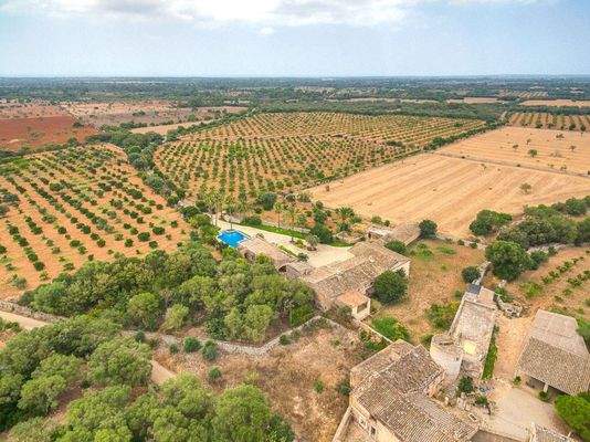 llucmajor Mallorca finca zum Verkauf Weingarten 89362