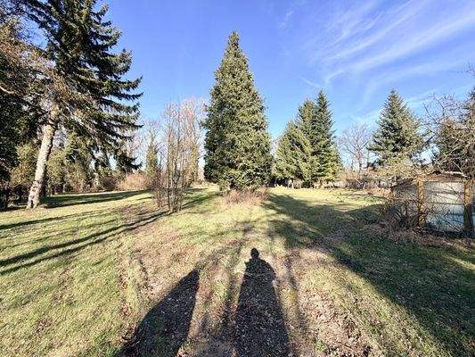 Gartenmitbenutzung inklusive