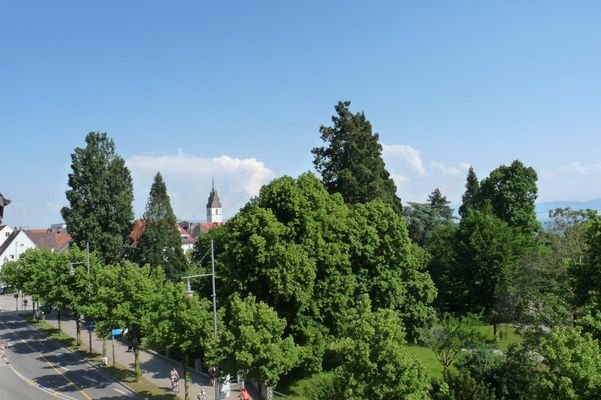 Blick zu Stadtpark und City