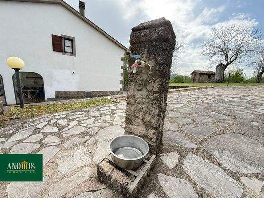 Einfamilienhaus mit 1 Hektar Kastanienwald