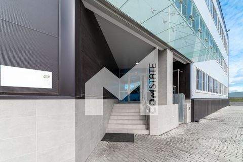 Datteln Halle, Datteln Hallenfläche