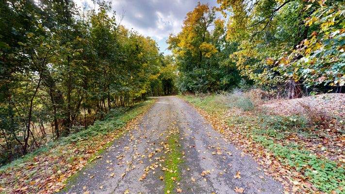 Privatweg zum Anwesen