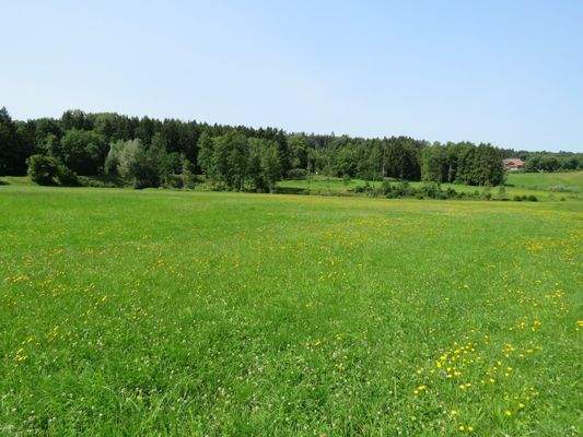 bestens geeignet zur Tierhaltung  