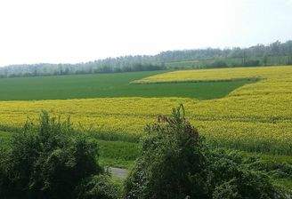 B83C240F97A04B38B38D5472C1C7615B