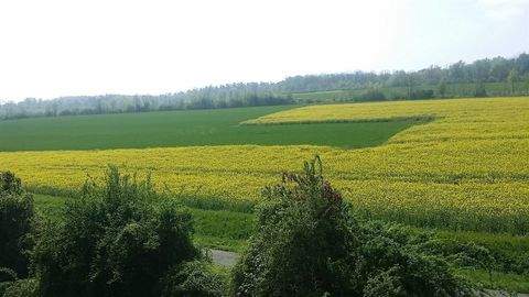 Hildesheim Wohnungen, Hildesheim Wohnung mieten