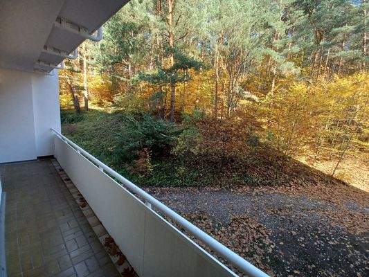 Balkon mit Waldblick