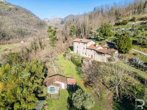 Fosciandora Häuser, Fosciandora Haus kaufen