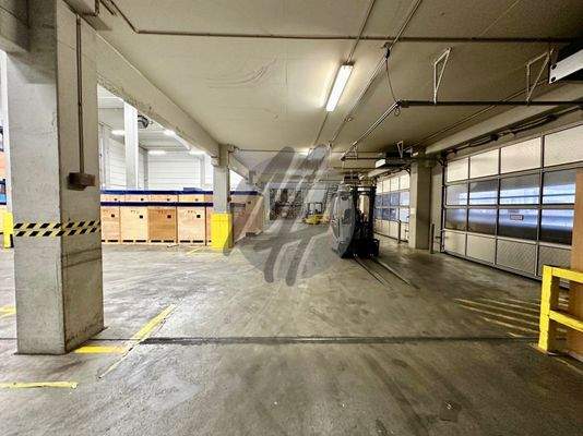 INFOS UNTER: 06171-586000