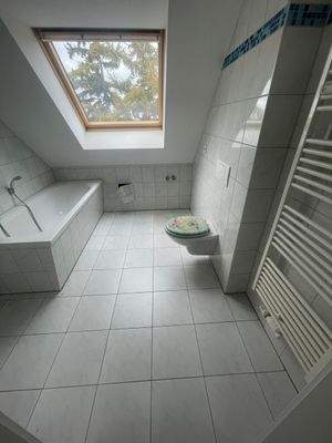 Badezimmer mit Dachfenster