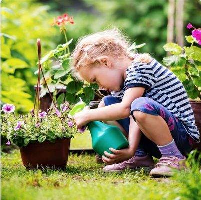 Screenshot_20240412_161326_Fac