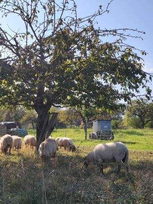 Ihre Nachbarn auf dem Feld