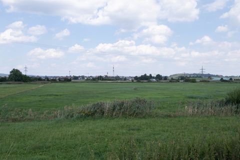 Kösching Bauernhöfe, Landwirtschaft, Kösching Forstwirtschaft