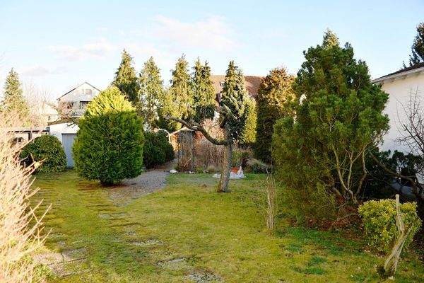 16 herrlicher Garten.JPG