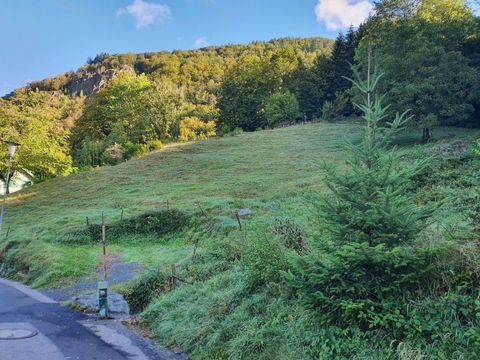 Todtnau Grundstücke, Todtnau Grundstück kaufen