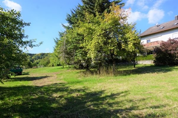 Ansicht 1