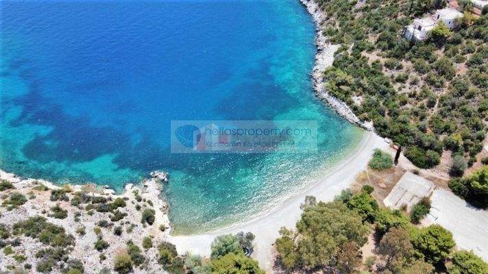 06f884dab2164561a575afd7947b7022-original