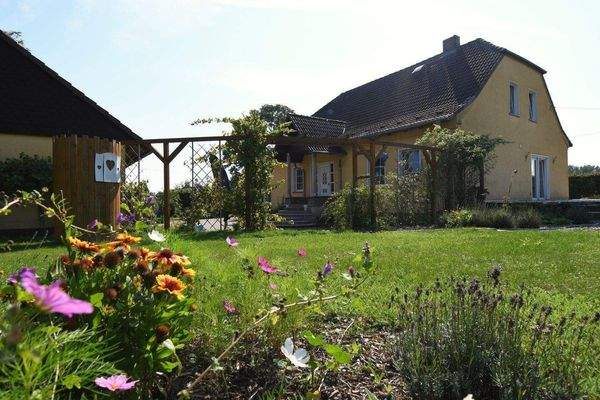 Blick aus dem Garten