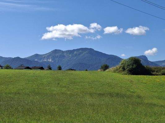 Ihr direkter Ausblick