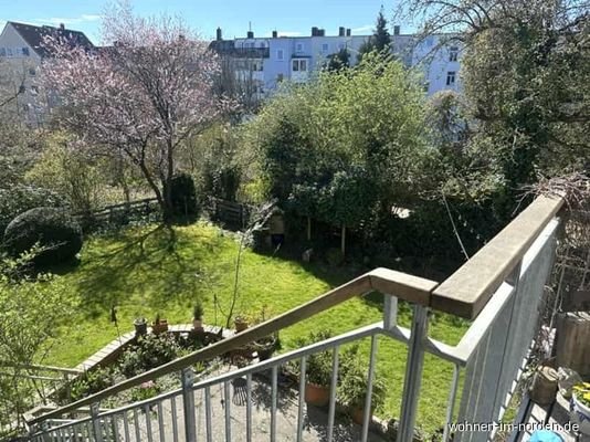 Blick in den Garten