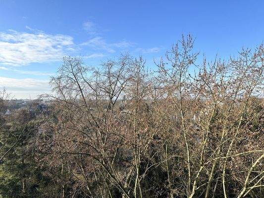 Weitblick vom Balkon zur Bueraner Innenstadt