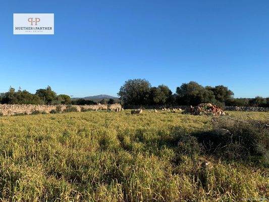 de342d29-e94f-4694-a27b-31edce7a6f4a (1)