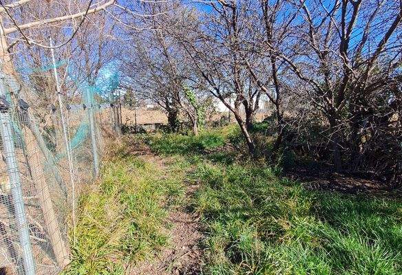 WhatsApp Image 2025-02-12 at 17.32.07 (9).jpeg