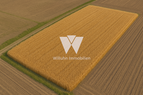 Wiedemar Bauernhöfe, Landwirtschaft, Wiedemar Forstwirtschaft