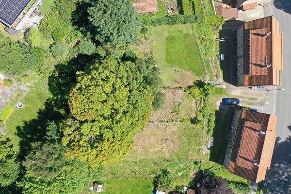 org_756510c38ee24ba9_1542982964000