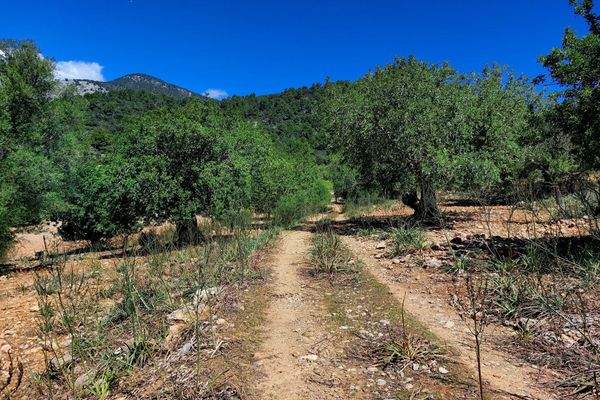 Grundstück mit Bauprojekt