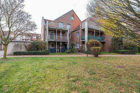 Münster Wohnungen, Münster Wohnung kaufen