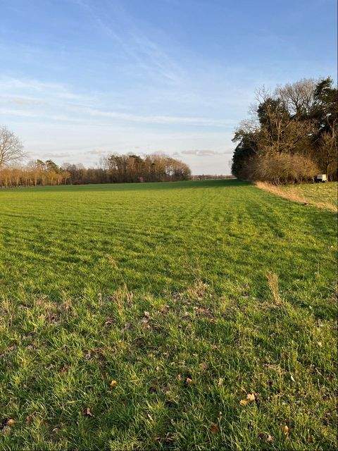 Itterbeck Bauernhöfe, Landwirtschaft, Itterbeck Forstwirtschaft