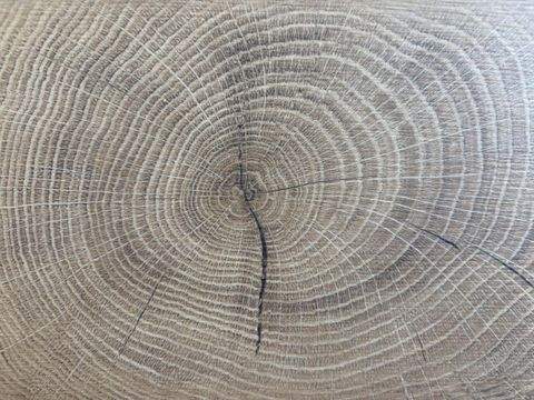 Dülmen Häuser, Dülmen Haus kaufen