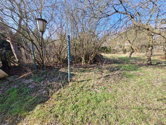 Blick auf grossen Garten