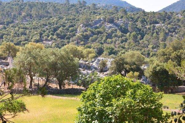 Kensington Mallorca North