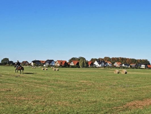 Ländliche Idylle unweit der Müritz