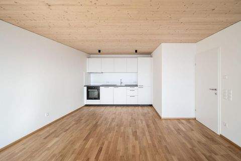 Lustenau Wohnungen, Lustenau Wohnung mieten