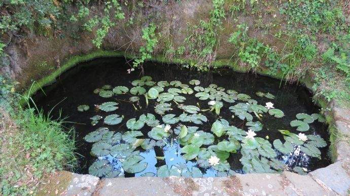 Kleiner Teich in der Zufahrt