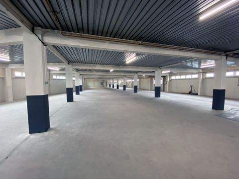 Göppingen Halle, Göppingen Hallenfläche